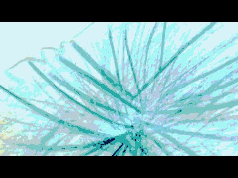 every by Vladimir Sidorkov - 2023