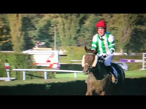 Theophilos... vítěz 129. Velké pardubické