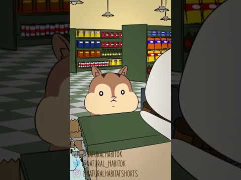 Streifenhörnchen haben Backentaschen, um Nahrung zu lagern. 🐿🥜