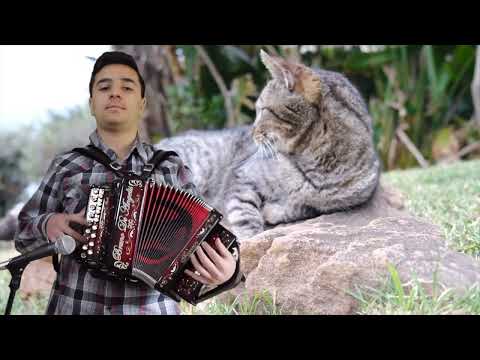 Pasquale Vitelli - "Cicirinella" (Tarantella)