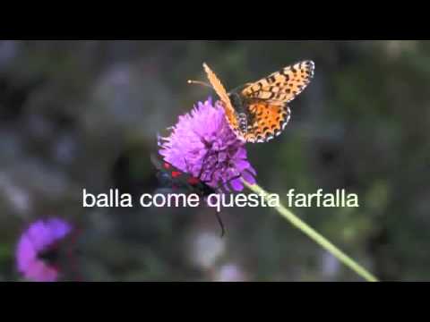 Daniele Meo - Adesso Balla (Lyrics)