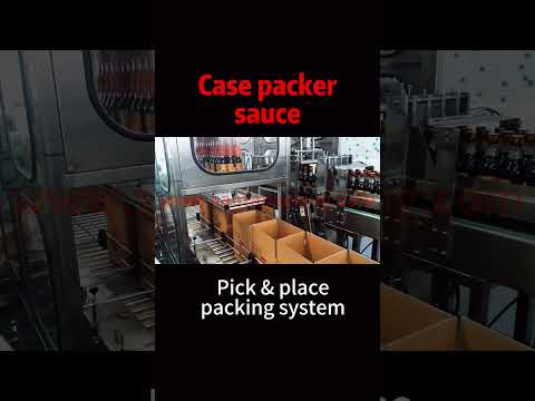 #shorts Case packaging system for bottle of sauce,grip and load type,for Chinese customer-Santa Pack