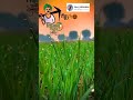 Kheti Badi Ro Dhando Hai Apna Motivation Status Trending Short Viralvideo Kishan Fasalbima
