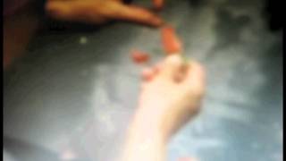 Laetitia Sadier "The Rule of the Game"