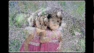 Damian Marley - For The Babies