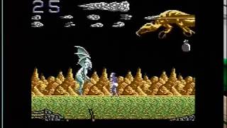 SHADOW OF THE BEAST (C64 - FULL GAME + DEATH SCREEN)