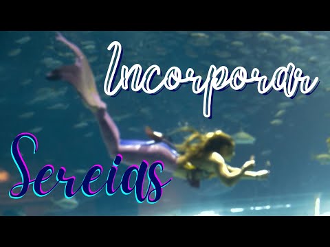 PTD nº 588 - É possível incorporar Sereias na linha de Iemanjá?