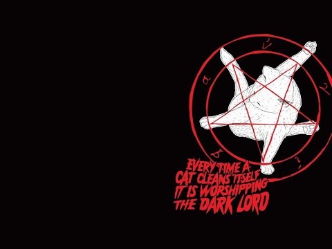 PFISTA - Puzzled Cat From Los Santos