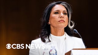 Tulsi Gabbard survives Senate committee vote