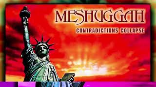 MESHUGGAH - PARALYZING IGNORANCE