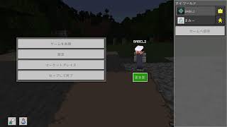 Minecraft Item Collection
