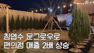 울타리 조경으로 고수익을 창출한 편의점이 있다?