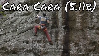 Uncut Send - Cara Cara