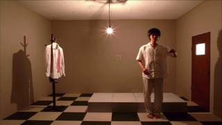 STEPS　あいちトリエンナーレ２０１０出品作品　解説