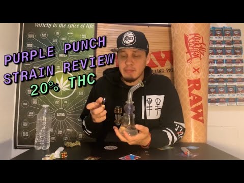 Leafly Purple Punch