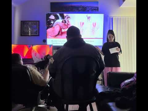 Pros and Cons of owning a Chihuahua.