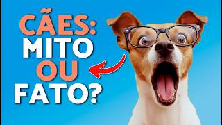 Mitos sobre cães desmascarados! 🐶🫢 Coisas que os cães PODEM e NÃO PODEM fazer