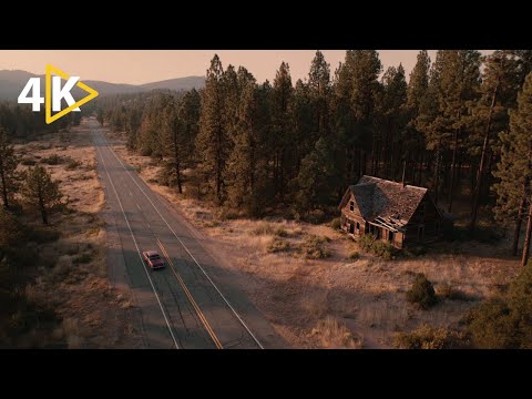 This Forest Thriller Will Keep You Up All Night | The Beast | Full Movie