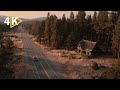 This Forest Thriller Will Keep You Up All Night The Beast Full Movie