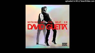 David Guetta/Chris Brown/Lil Wayne - I Can Only Imagine (B95)