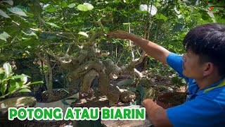 Download lagu 'BEGINI CARANYA' SERING BINGUNG MENENTUKAN MAHKOTANYA mp3