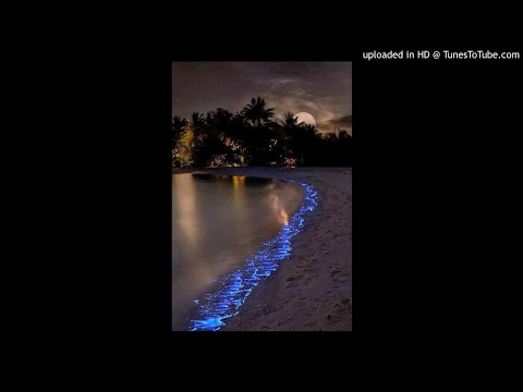 JI X SHORELINE MAFIA "OCHO” | BAY AREA Type Beat