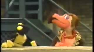 Classic Sesame Street   Who are the insects in your Neighborhood