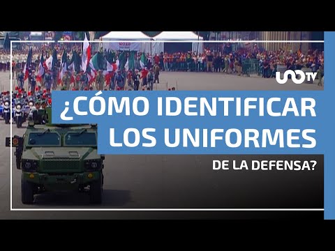 Todo listo para el Desfile Cívico Militar: ¿cómo identificar los uniformes de la Defensa?