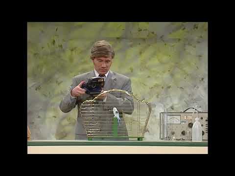 "Wissenschaft und Technik - Faradayscher Käfig" bullyparade - TV Comedyshow / 2000