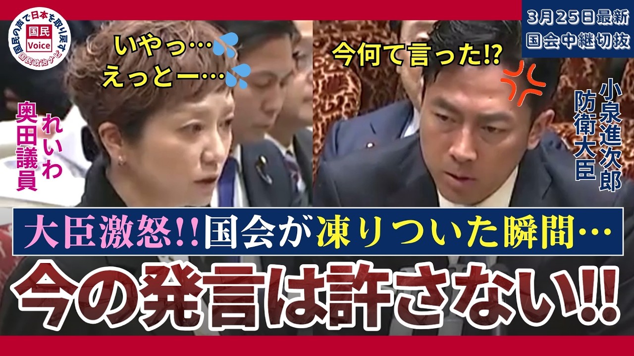 【小泉大臣激怒‼】「今何て言った!?」れいわ奥田議員の一言で国会の空気が凍り付いた瞬間‼【国会中継切り抜き】#政治ニュース #小泉進次郎 #小泉大臣 #れいわ奥田議員 #奥田議員 #国会切り抜き