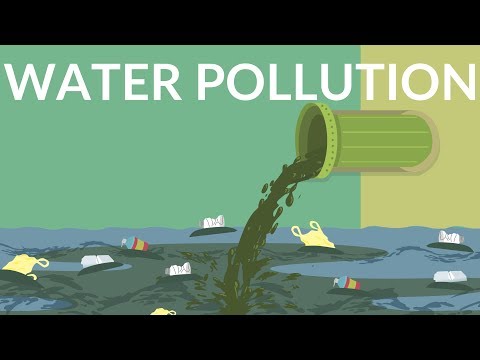 All About Water Pollution