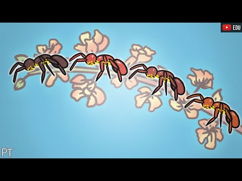 O Departamento de Redundâncias Redundantes | Minuto da Terra