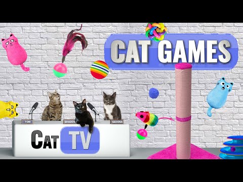 CAT Games | Ultimate Cat Toy Compilation Vol 2 🧸🎾🪶🧵🐭🎡🏐 | Cat TV | Cat Toy Videos For Cats to Watch