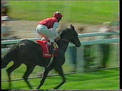 1997 Juddmonte International Stakes Singspiel Includes Replay & enclosure