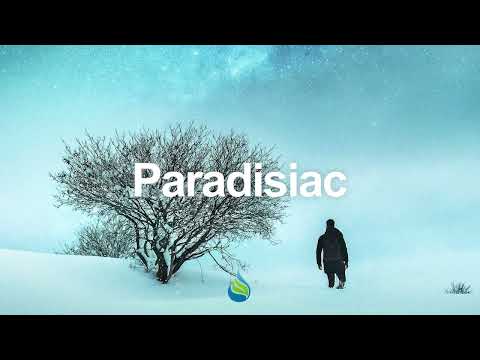 Sound Saviour - Roots of Consciousness (Paradisiac Exclusive!)