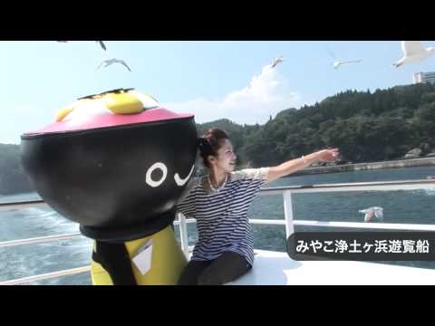 いわての旅さんりく特集：みやこ浄土ヶ浜遊覧船（浄土ヶ浜周遊コース）