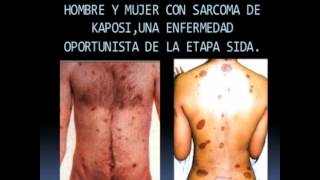 Del 7 al 12 de agosto