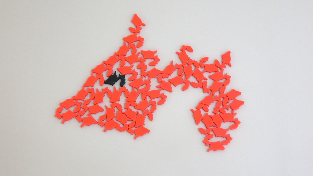 静岡県のスイミー