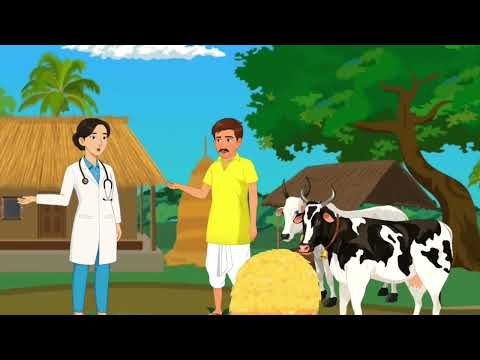 Chelated iron tonic - 2 liter