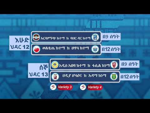 የቤት ኪንግ ኢትዮዽያ ፕሪምየር ሊግ ጨዋታዎች በዲኤስቲቪ መታየታቸውን ቀጥለዋል።