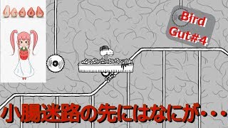 Bird Gut④迷路のその先に
