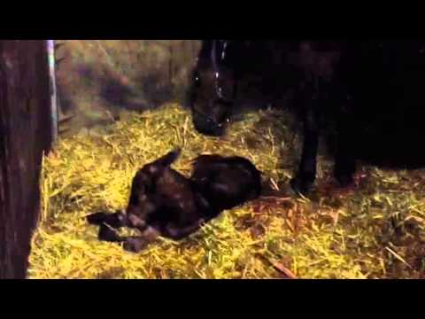 Femke's eerste pogingen.