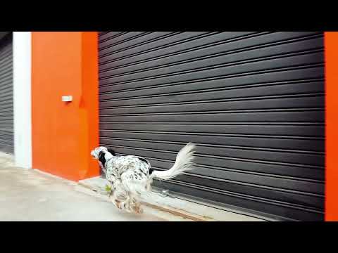 video frame placeholder