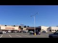 Parking Lot Seagulls Confused Seagulls That End Up Inland See Big Parking Lots As Water Kinda Sad