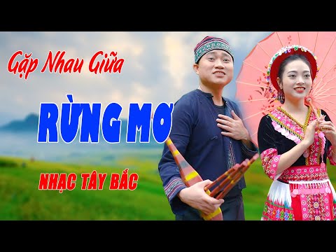 Gặp Nhau Giữa Rừng Mơ - Song Ca Nhạc Tây Bắc Cực Đỉnh Vang Vọng Khắp Miền - Ngọc Khánh ft Trung Hiếu