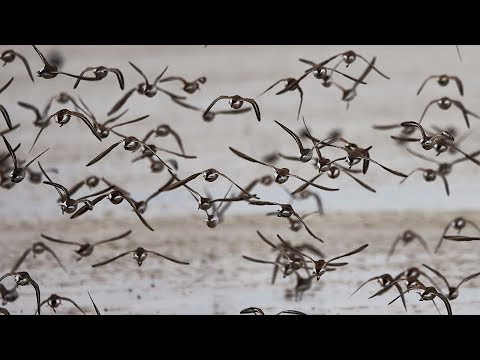 Spiekeroog im Herbst 2021