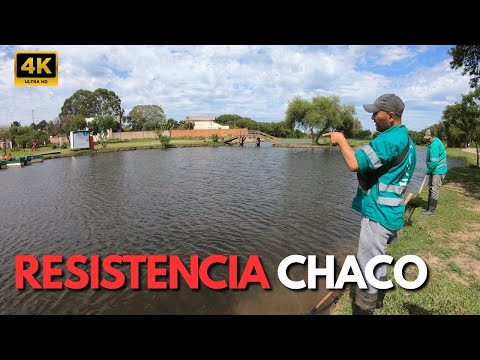 Así se Cuida la Laguna Francia en Resistencia Chaco: Limpieza, Naturaleza y Comunidad #LagunaFrancia
