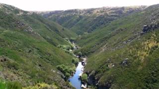 preview picture of video 'タイエリ峡谷鉄道 Taieri Gorge Railway'