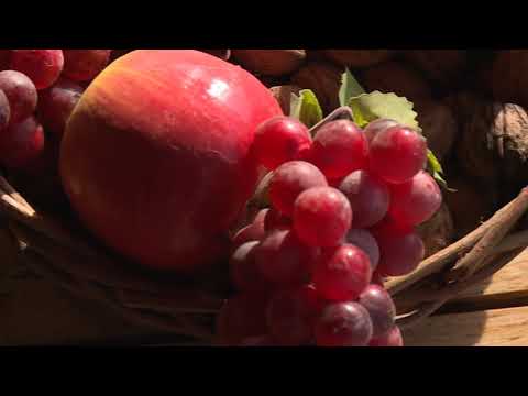 30.04.2018. InMagazin - Grdović i Mejaši imaju vinograd