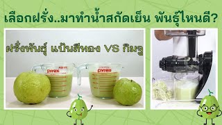 เลือกฝรั่งมาทำน้ำแยกกากสกัดเย็น พันธุ์ไหนดี? Oscar DA1200